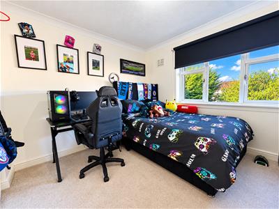 Picture 7